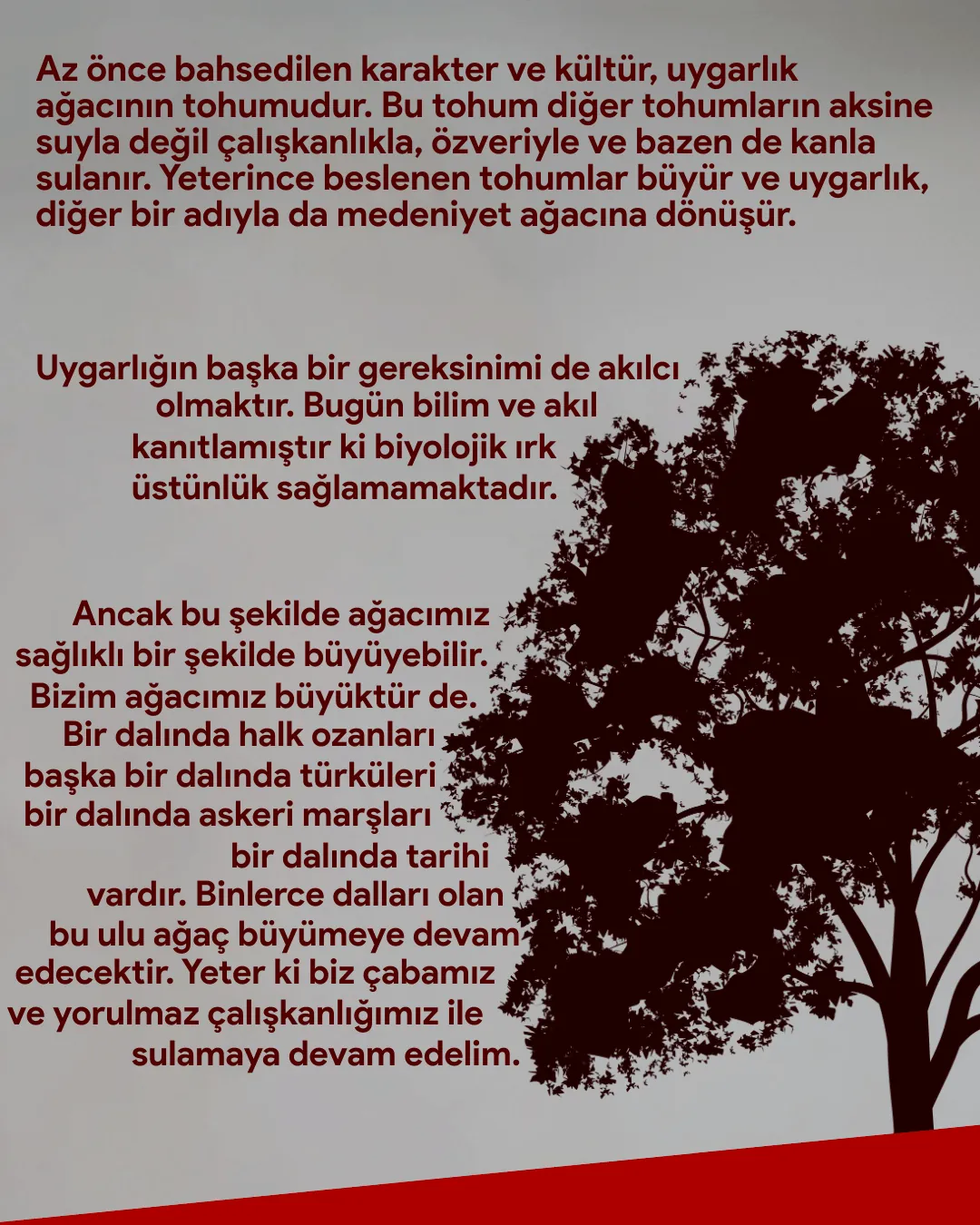 Süngü Dergisi - 4. Sayı, sayfa 4