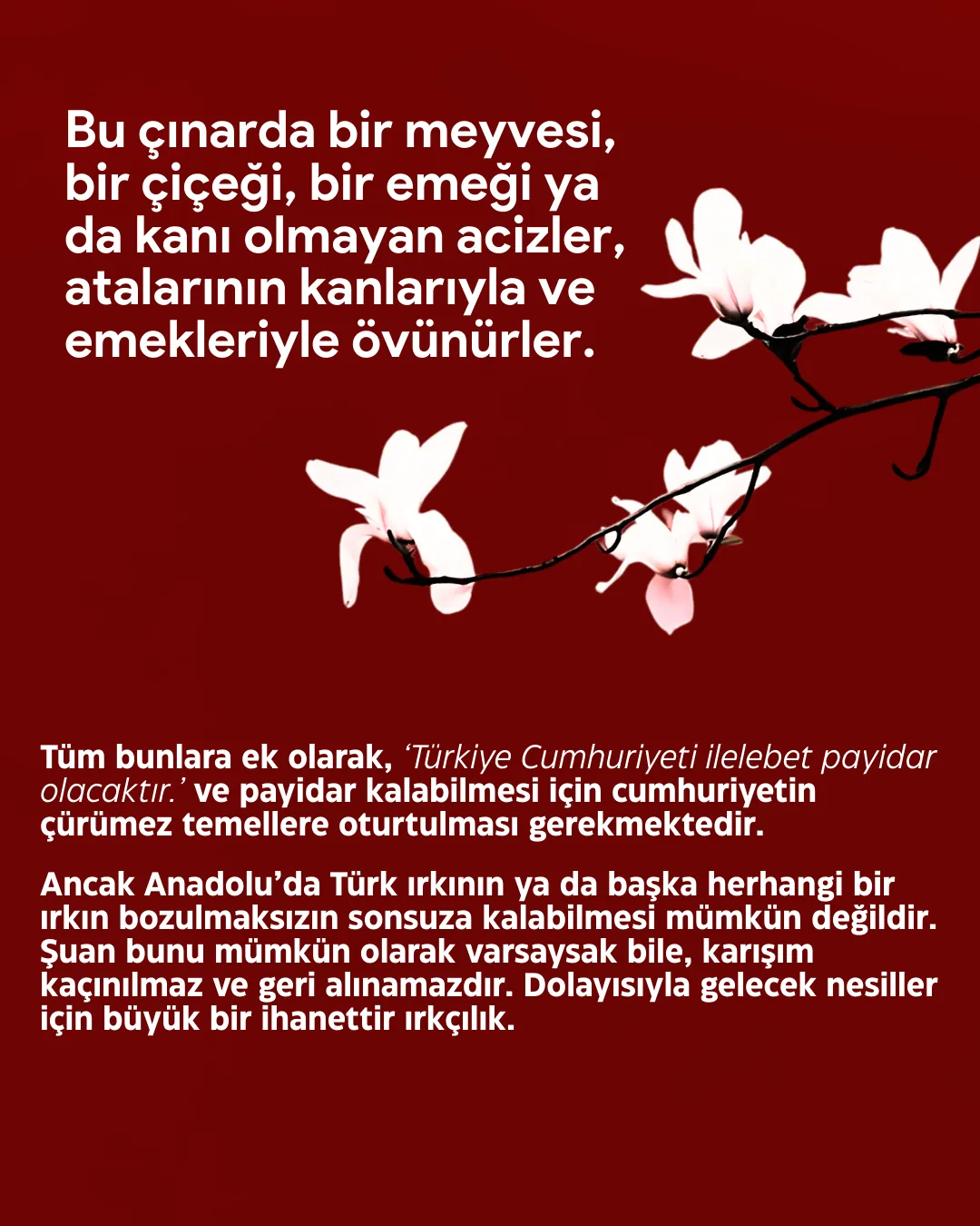 Süngü Dergisi - 4. Sayı, sayfa 6