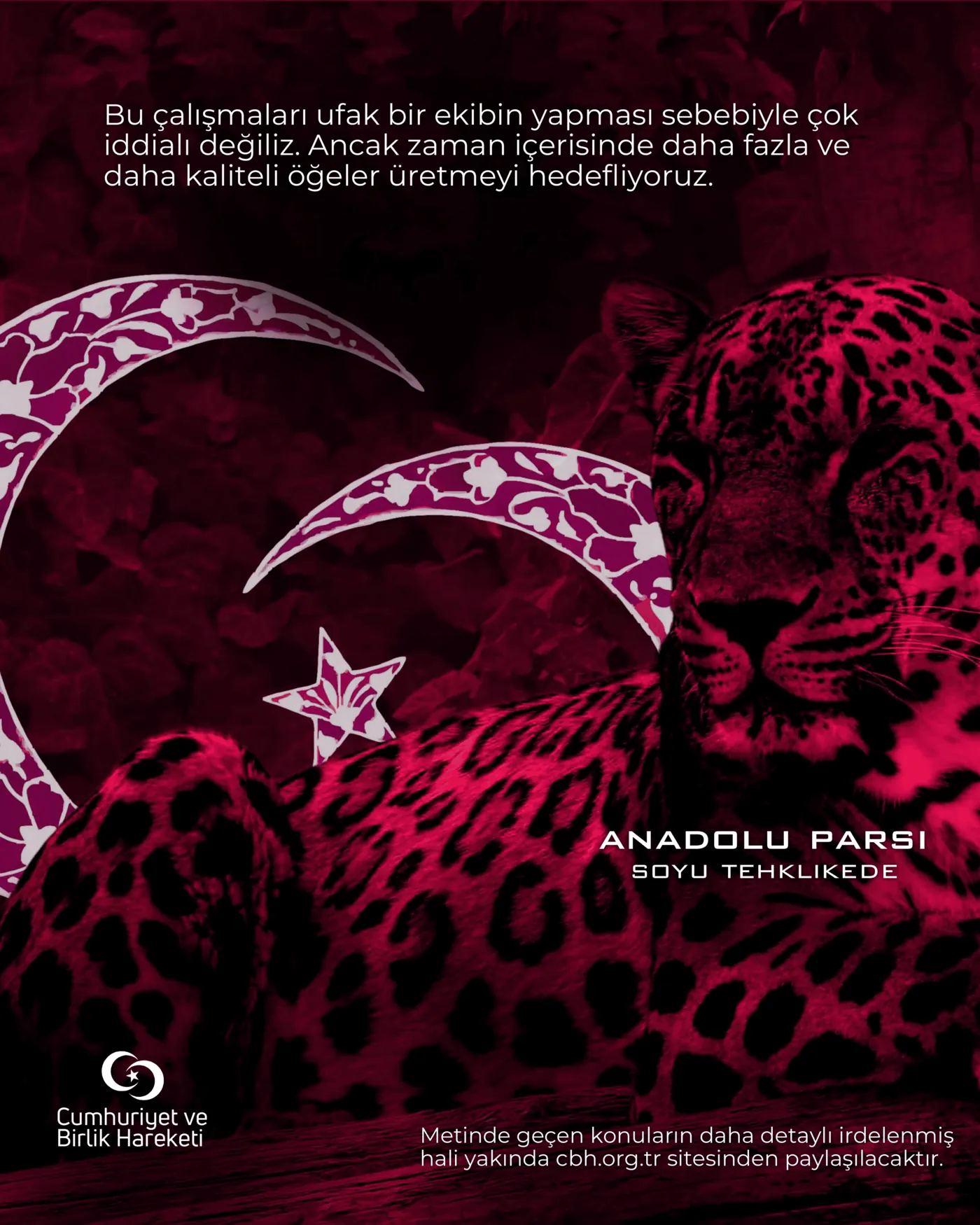 Süngü Dergisi - 5. Sayı, sayfa 14