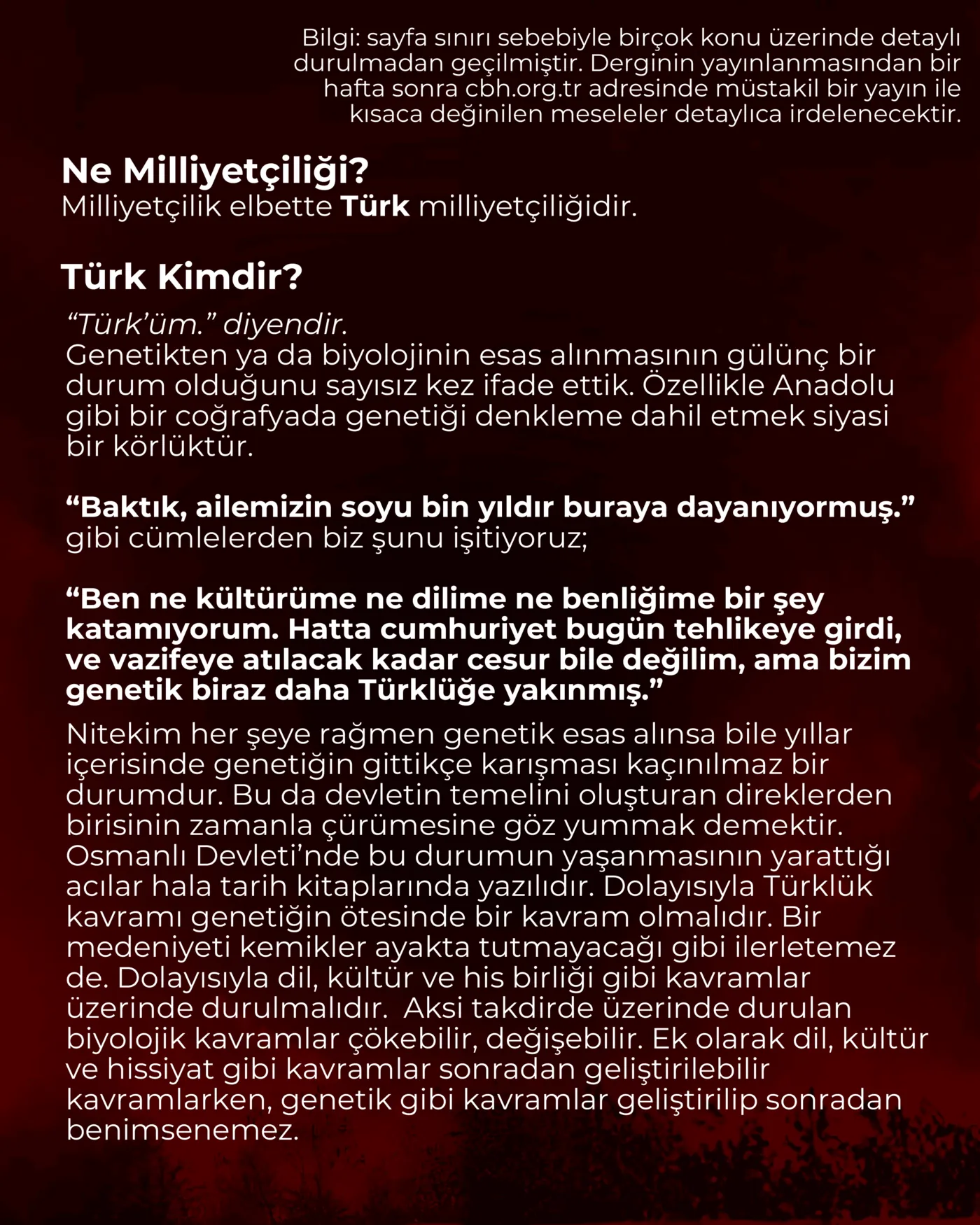 Süngü Dergisi - 5. Sayı, sayfa 3