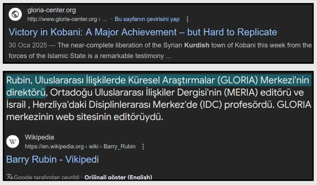 Barry Rubin ve GLORIA faaliyetleri