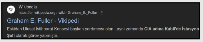 Graham E. Fuller hakkında bilgi